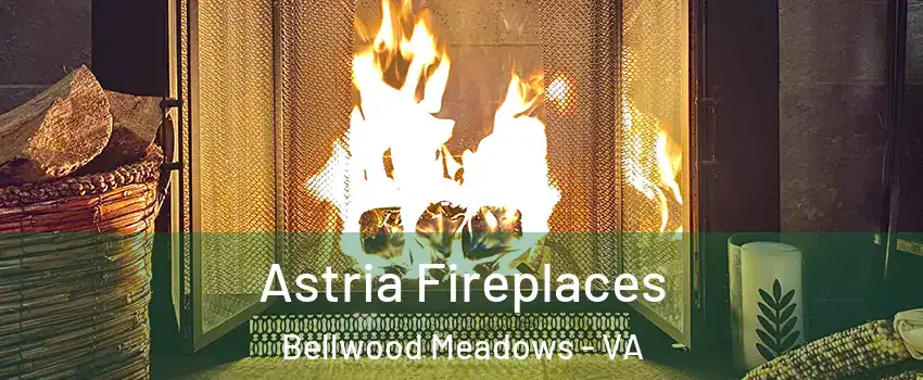 Astria Fireplaces Bellwood Meadows - VA