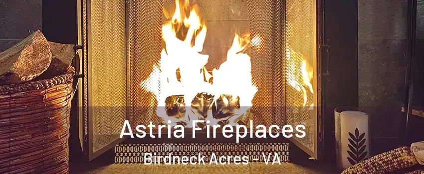 Astria Fireplaces Birdneck Acres - VA