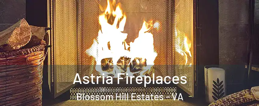Astria Fireplaces Blossom Hill Estates - VA
