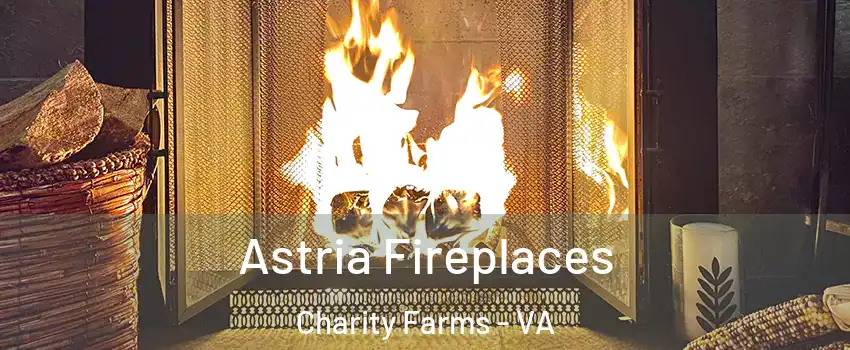 Astria Fireplaces Charity Farms - VA