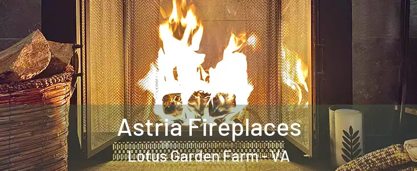 Astria Fireplaces Lotus Garden Farm - VA