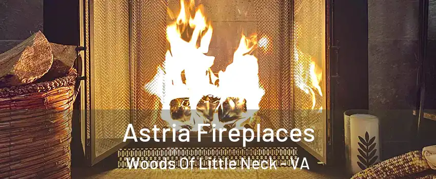 Astria Fireplaces Woods Of Little Neck - VA