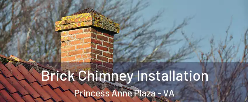 Brick Chimney Installation Princess Anne Plaza - VA