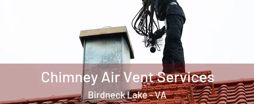 Chimney Air Vent Services Birdneck Lake - VA