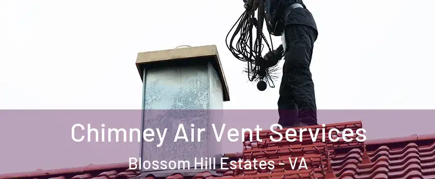 Chimney Air Vent Services Blossom Hill Estates - VA