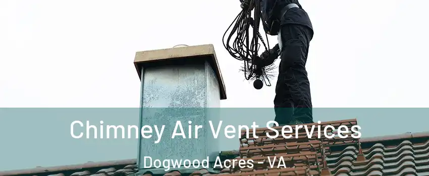 Chimney Air Vent Services Dogwood Acres - VA