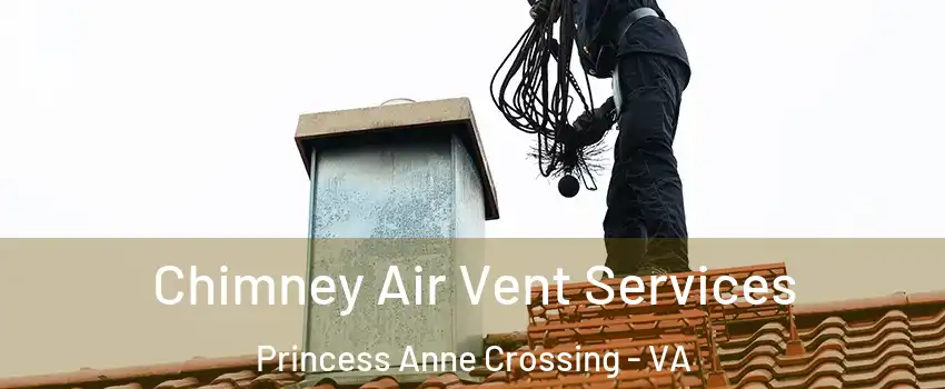 Chimney Air Vent Services Princess Anne Crossing - VA