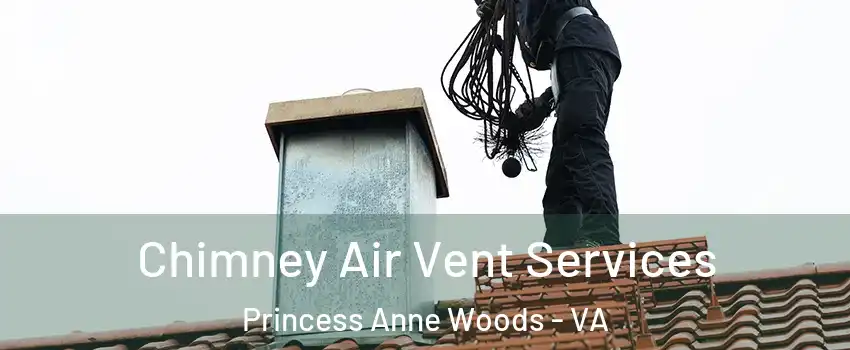 Chimney Air Vent Services Princess Anne Woods - VA