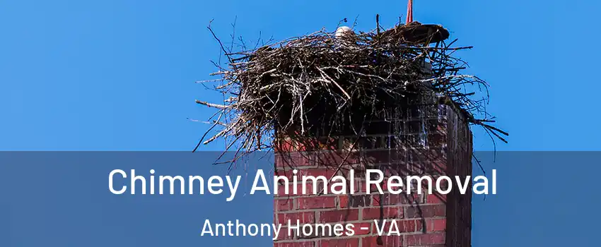 Chimney Animal Removal Anthony Homes - VA