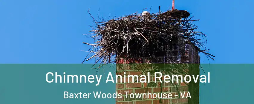 Chimney Animal Removal Baxter Woods Townhouse - VA