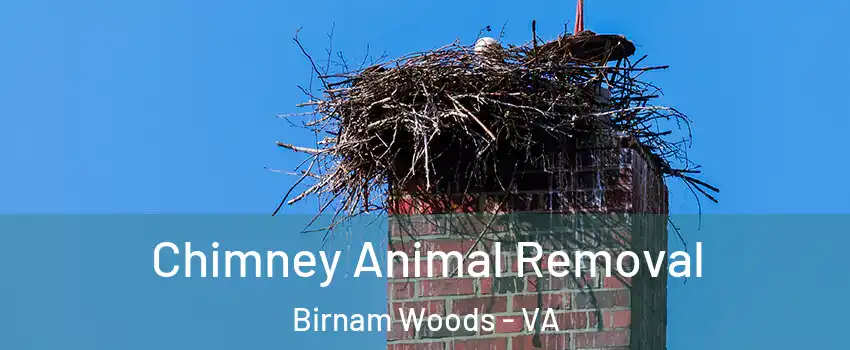 Chimney Animal Removal Birnam Woods - VA