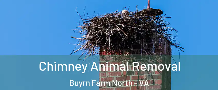 Chimney Animal Removal Buyrn Farm North - VA