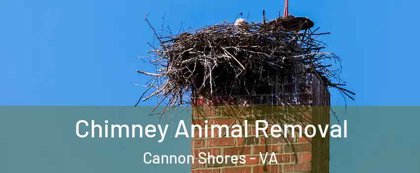 Chimney Animal Removal Cannon Shores - VA