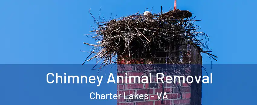 Chimney Animal Removal Charter Lakes - VA