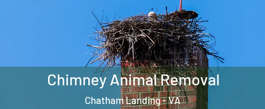 Chimney Animal Removal Chatham Landing - VA