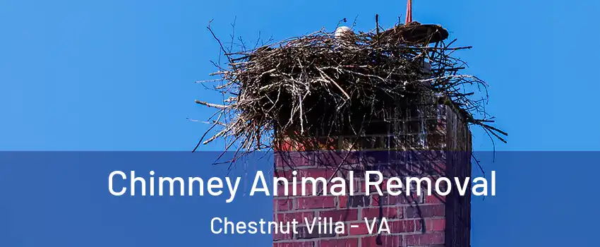 Chimney Animal Removal Chestnut Villa - VA