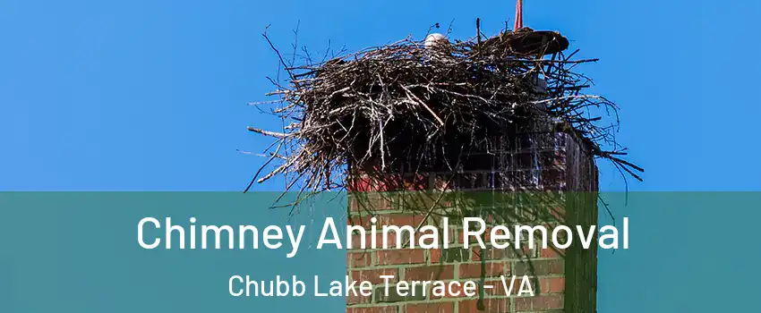 Chimney Animal Removal Chubb Lake Terrace - VA