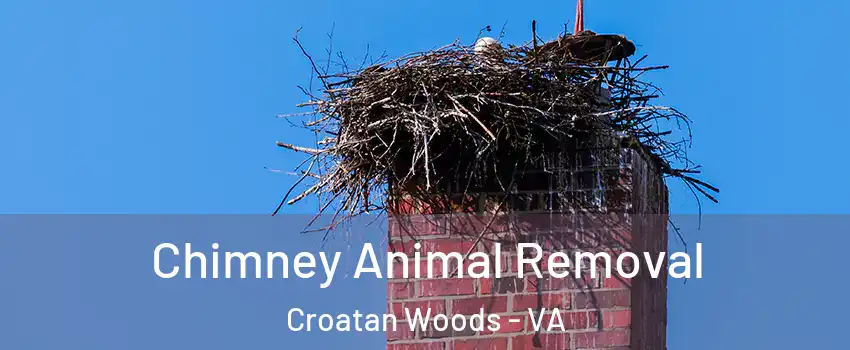 Chimney Animal Removal Croatan Woods - VA