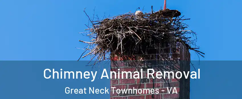 Chimney Animal Removal Great Neck Townhomes - VA