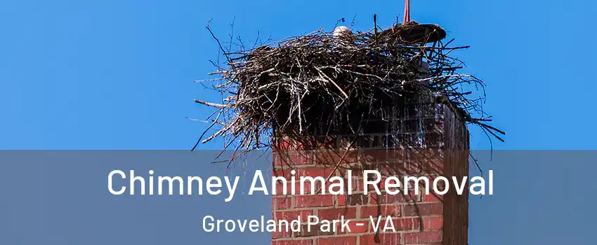 Chimney Animal Removal Groveland Park - VA