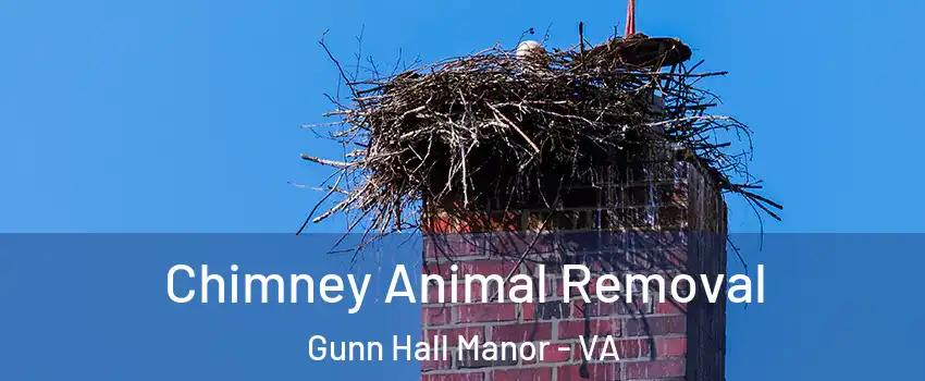 Chimney Animal Removal Gunn Hall Manor - VA