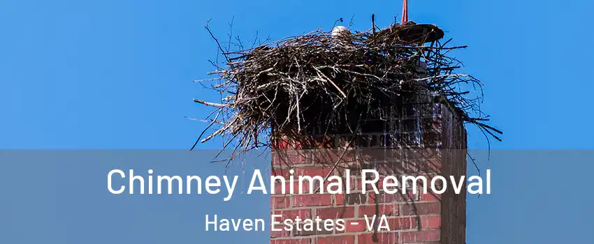 Chimney Animal Removal Haven Estates - VA