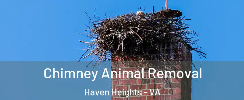 Chimney Animal Removal Haven Heights - VA