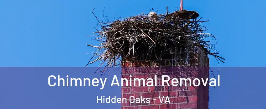 Chimney Animal Removal Hidden Oaks - VA