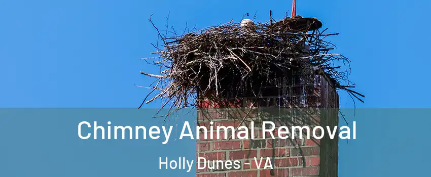 Chimney Animal Removal Holly Dunes - VA