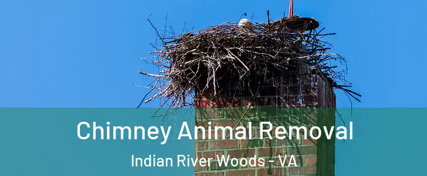 Chimney Animal Removal Indian River Woods - VA