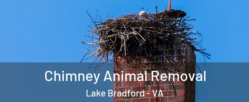 Chimney Animal Removal Lake Bradford - VA