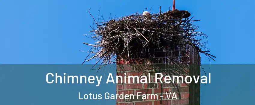 Chimney Animal Removal Lotus Garden Farm - VA