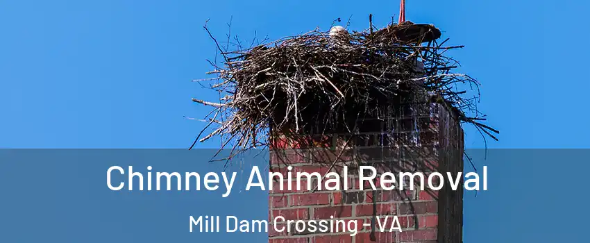 Chimney Animal Removal Mill Dam Crossing - VA