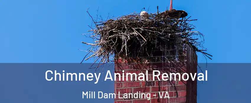 Chimney Animal Removal Mill Dam Landing - VA