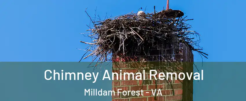 Chimney Animal Removal Milldam Forest - VA