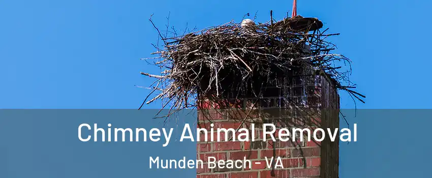 Chimney Animal Removal Munden Beach - VA