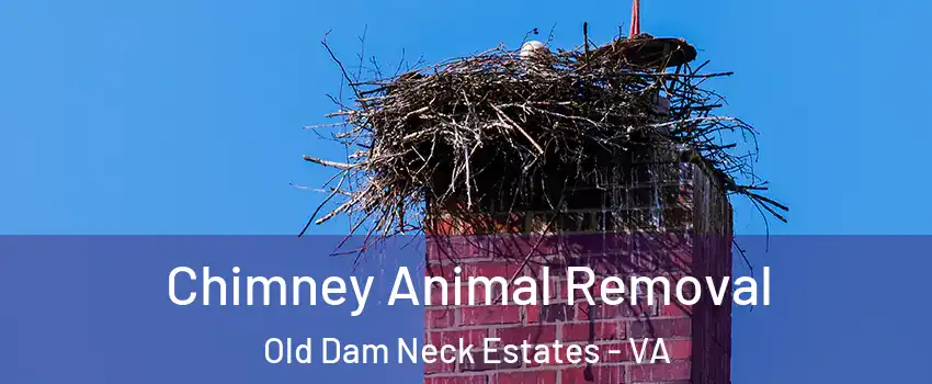 Chimney Animal Removal Old Dam Neck Estates - VA