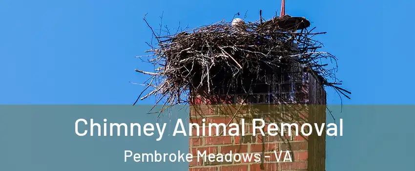 Chimney Animal Removal Pembroke Meadows - VA