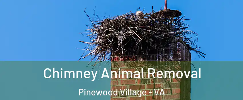 Chimney Animal Removal Pinewood Village - VA
