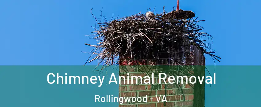 Chimney Animal Removal Rollingwood - VA