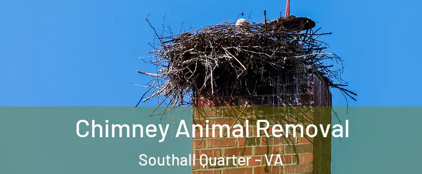 Chimney Animal Removal Southall Quarter - VA