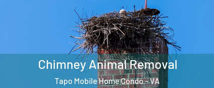 Chimney Animal Removal Tapo Mobile Home Condo - VA