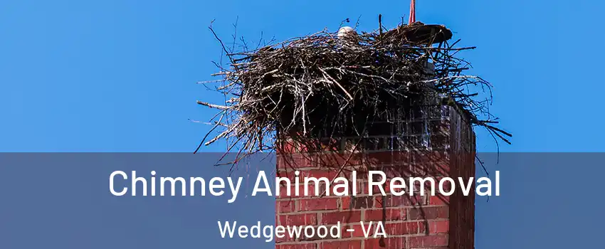 Chimney Animal Removal Wedgewood - VA