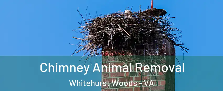 Chimney Animal Removal Whitehurst Woods - VA