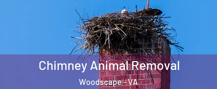 Chimney Animal Removal Woodscape - VA