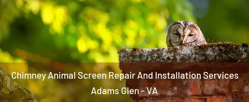 Chimney Animal Screen Repair And Installation Services Adams Glen - VA