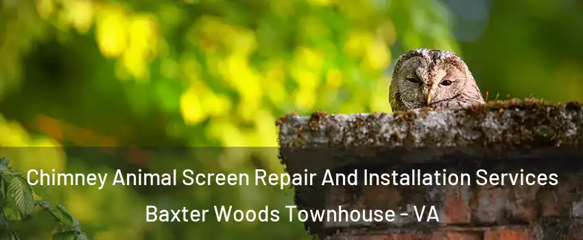 Chimney Animal Screen Repair And Installation Services Baxter Woods Townhouse - VA