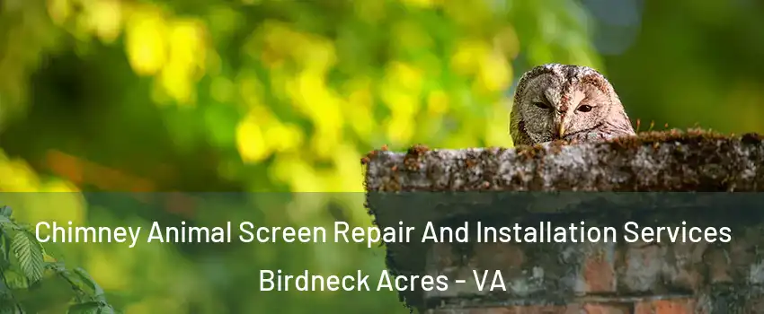 Chimney Animal Screen Repair And Installation Services Birdneck Acres - VA