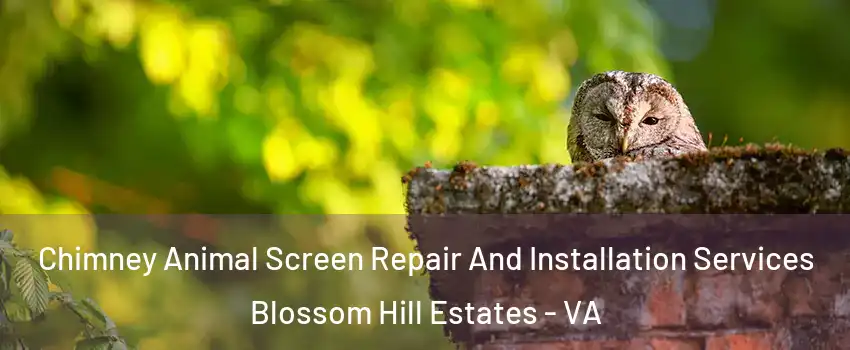 Chimney Animal Screen Repair And Installation Services Blossom Hill Estates - VA