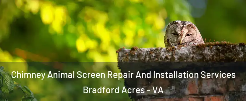 Chimney Animal Screen Repair And Installation Services Bradford Acres - VA